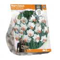 Baltus Narcissus Large Cupped Skype bloembollen per 5 stuks